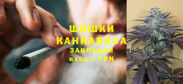 ПСИЛОЦИБИНОВЫЕ ГРИБЫ Алексеевка