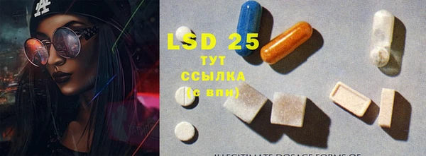 амф Алексин