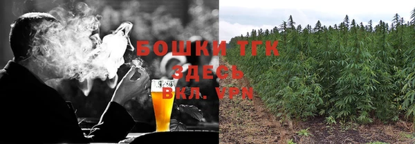 ПСИЛОЦИБИНОВЫЕ ГРИБЫ Алексеевка